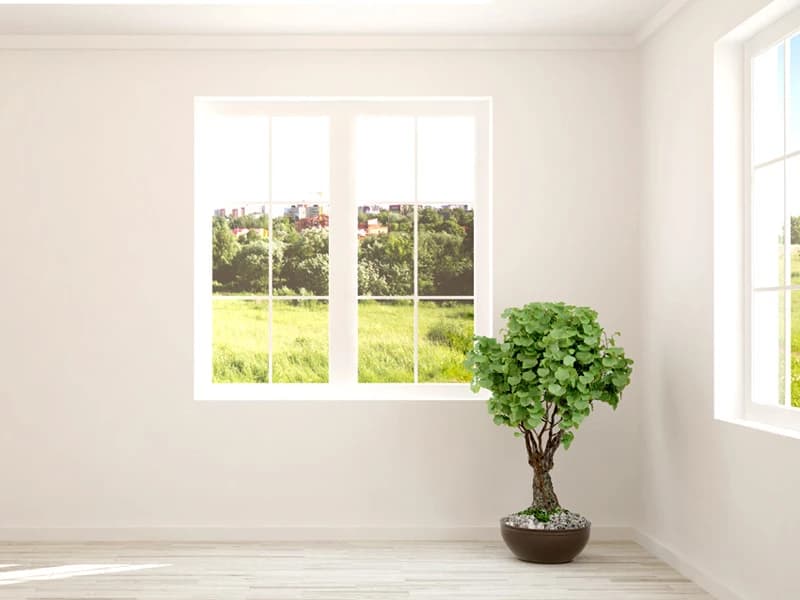Fenster aus Polen: Alles, was Sie über Rollläden wissen müssen