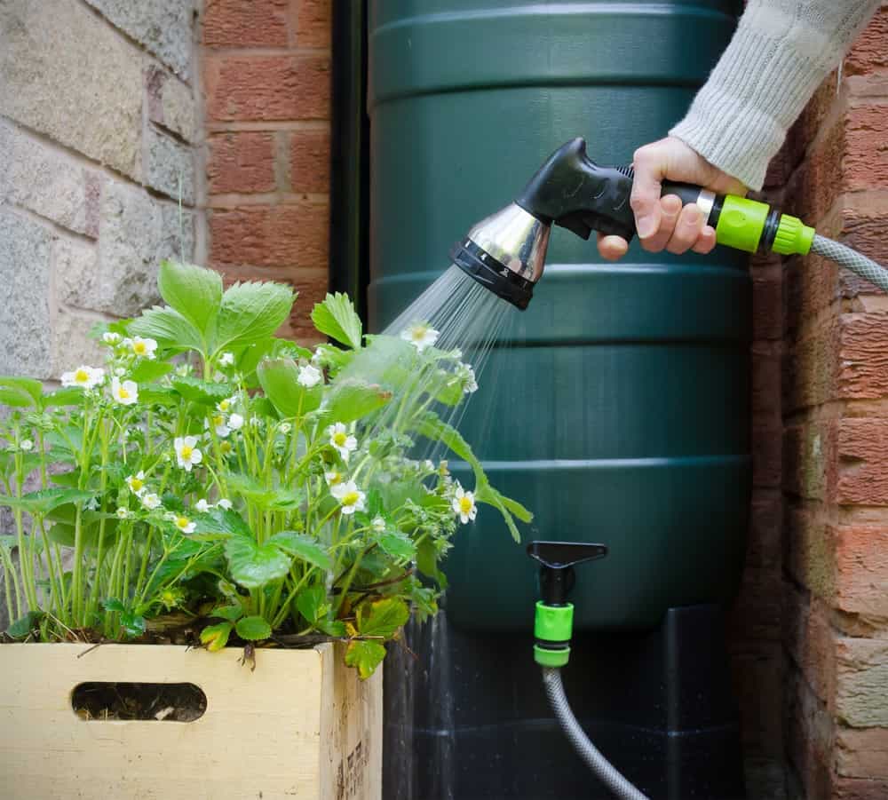 All4Water: Vertrauen Sie auf unsere Erfahrung in der Reinigung von Regenwasserzisternen
