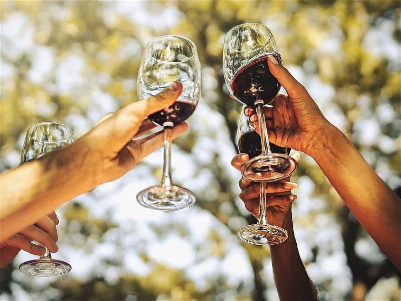 Wein Online Shop und Probierpakete: Die besten Weine zum Kennenlernen