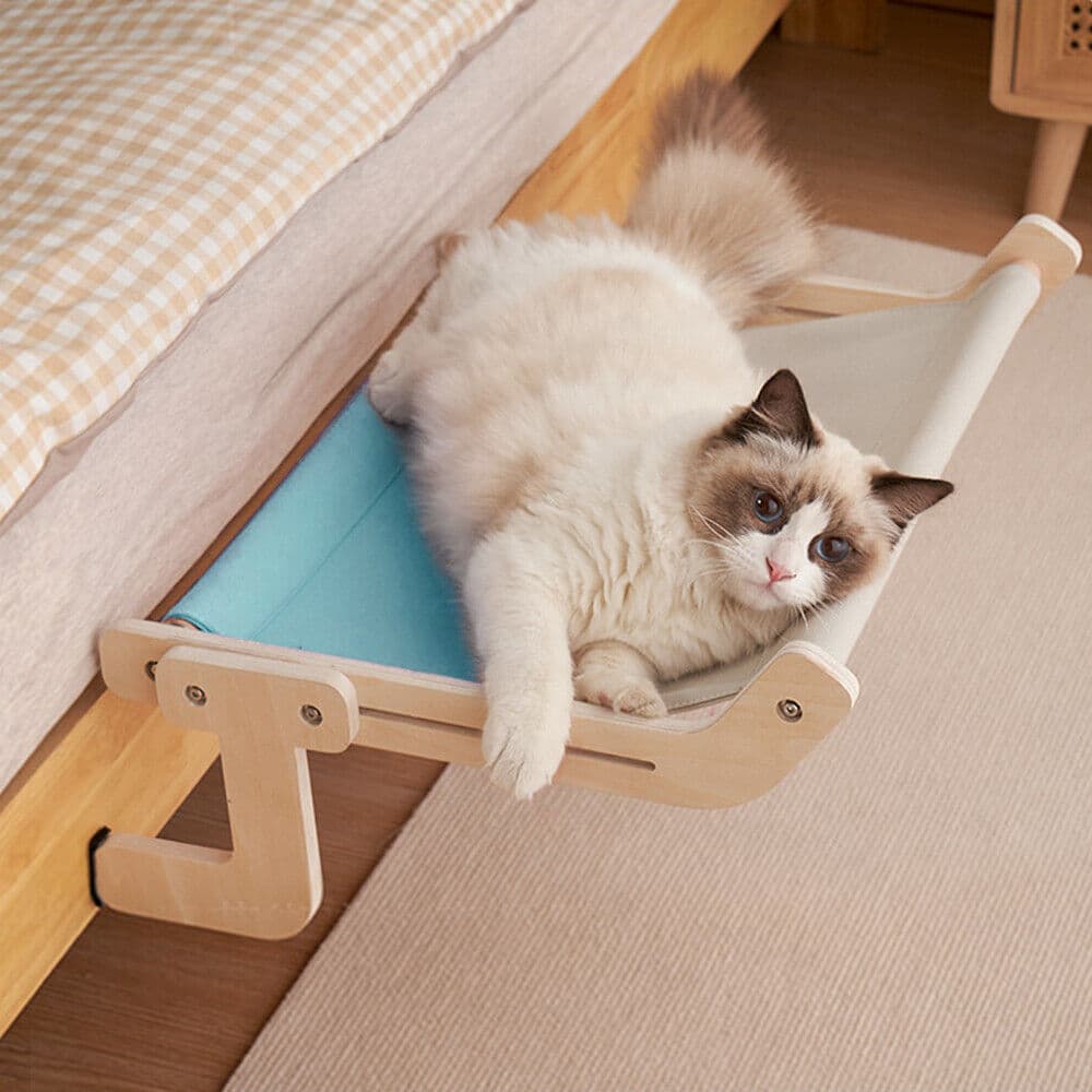 Die besten Katzensofaen für draußen