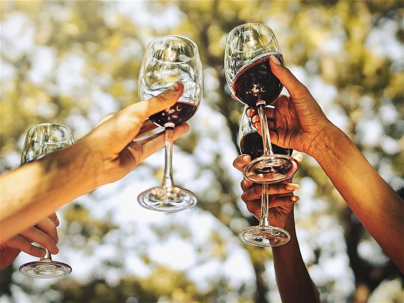 Wein Online Shop und Probierpakete: Die besten Weine zum Kennenlernen