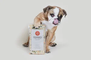 Farmer's dog pricing